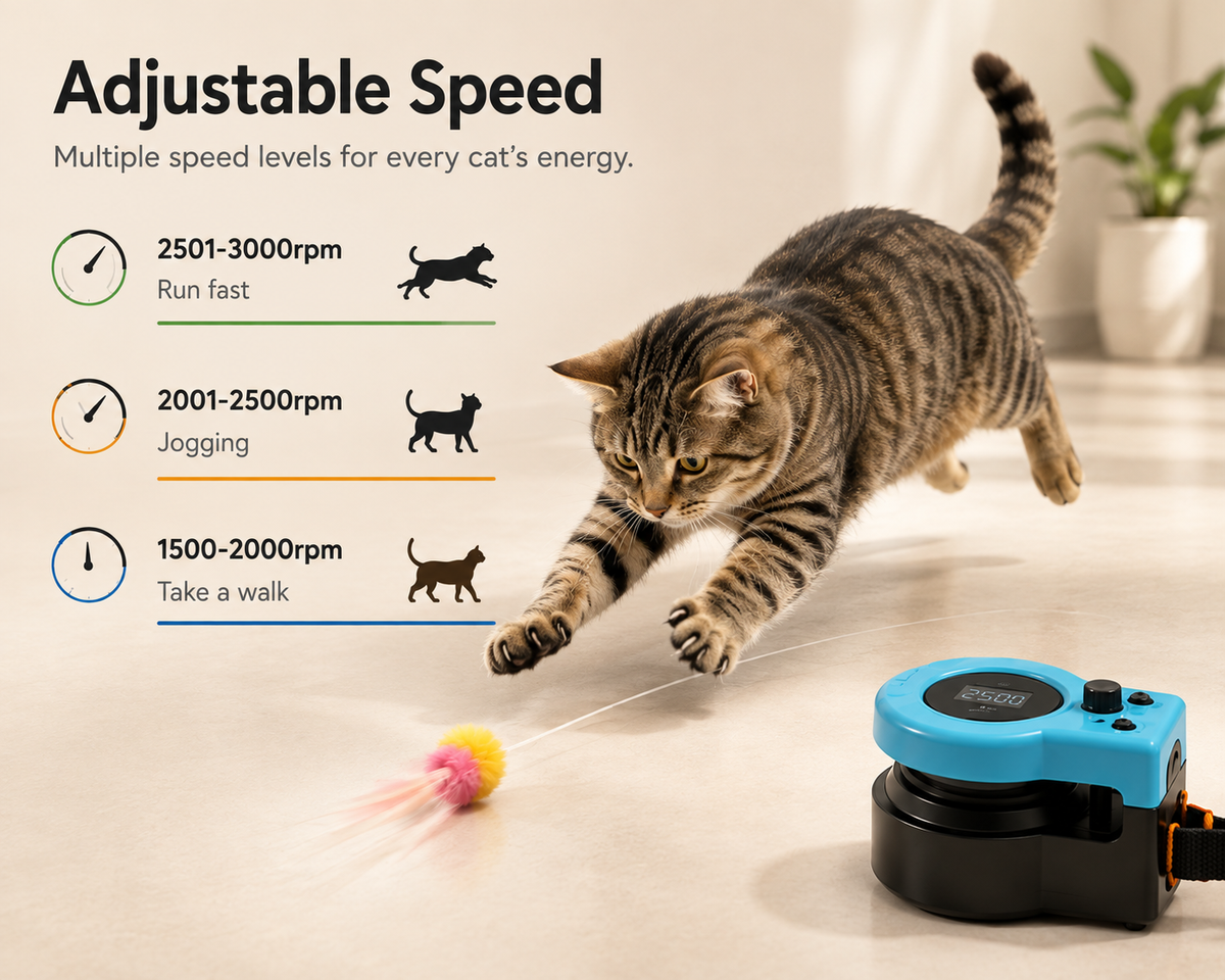KittyRunner